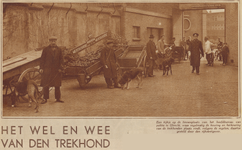 874282 Afbeelding van de trekhondenkeuring op de binnenplaats van het Hoofdbureau van Politie (Catharijnekade 12) in ...